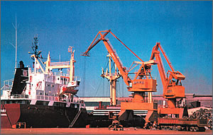 cranes 1